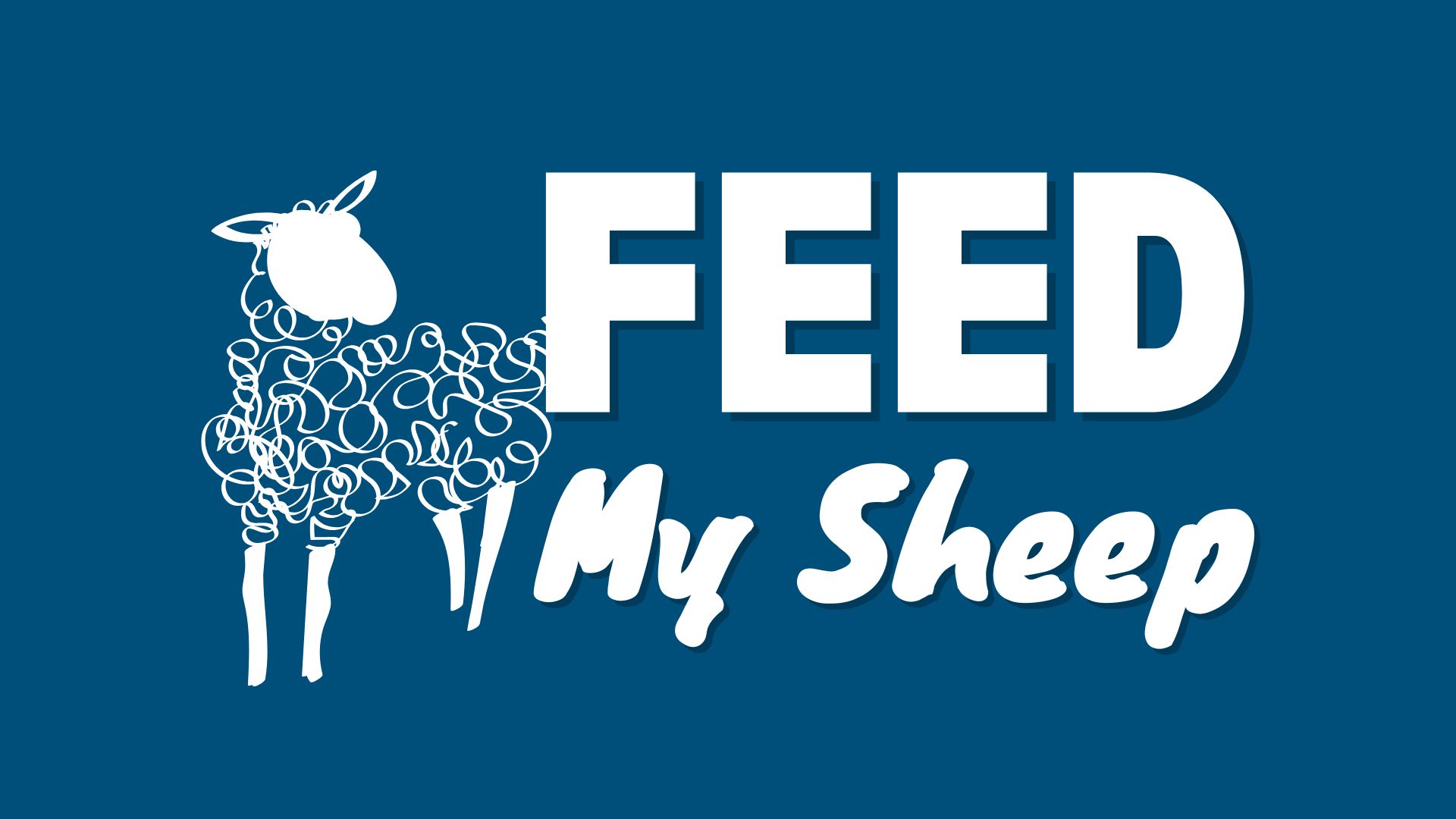 Feed My Sheep 